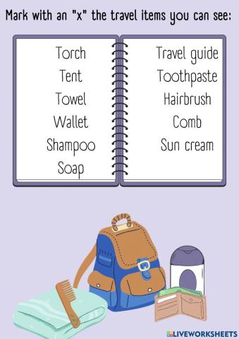 Travel items