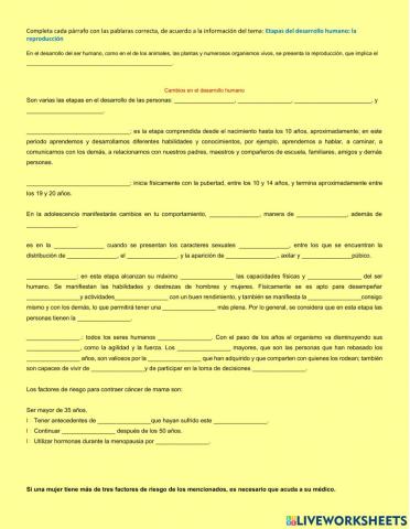 Etapas del desarrollo humano