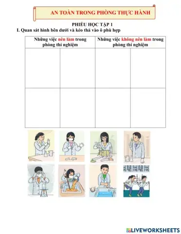 An toàn phỏng thực hành