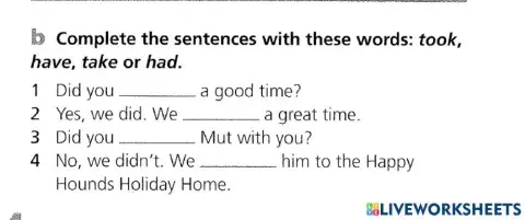 Past Simple Question and answers