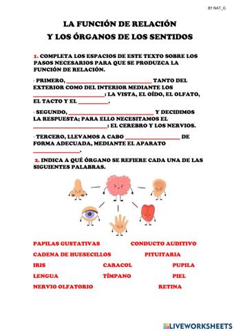 La función de relación