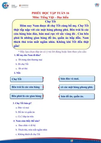 Tiếng Việt nâng cao tuần 16