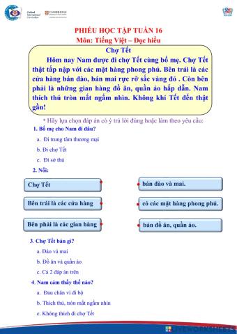 Tiếng Việt nâng cao tuần 16