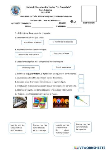 Imitando a los Animales