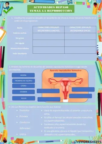 Repaso la reproducción