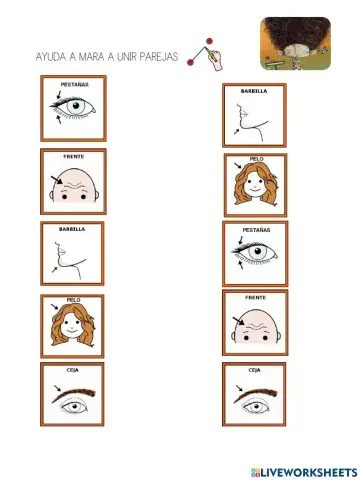 Lectura global -orejas de mariposa-