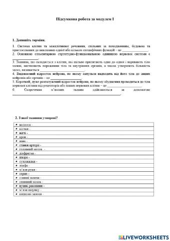 Підсумкова робота