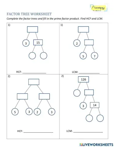 Prime Factorization B
