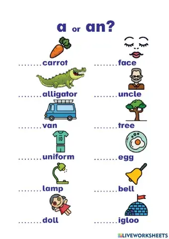 Articles -A-An- and vocabulary