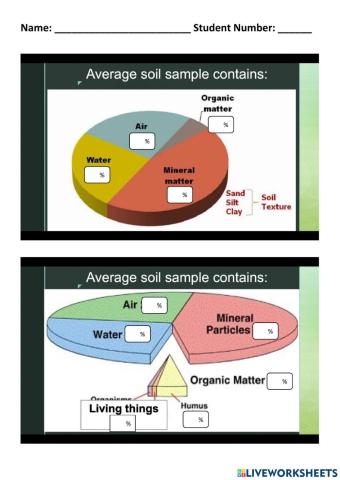 Components of Soil