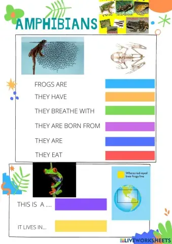 Amphibians