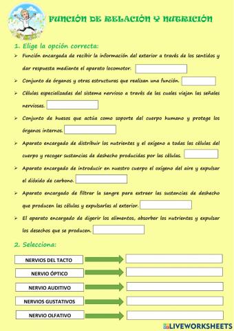 Función de relación y nutrición