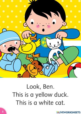 Dolphin reader part 2