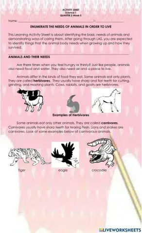 Enumerate the needs of animals in order to live