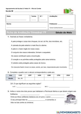 Ficha de avaliação estudo do meio