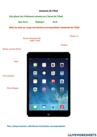 Anatomie de l'iPad