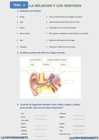 4º Ciencias de la Naturaleza