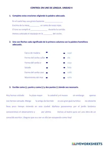 CONTROL LENGUA TEMA 4