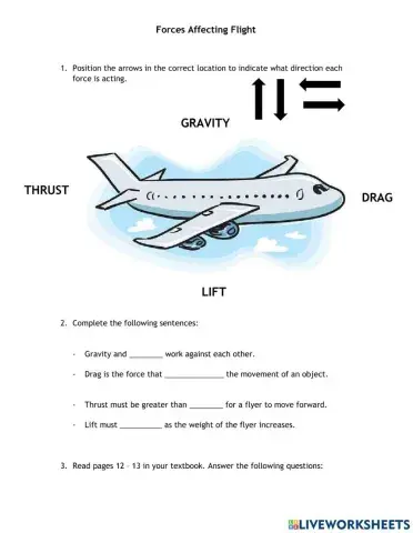 Flight Worksheet