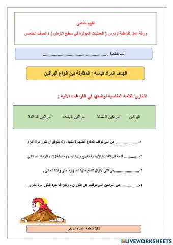 ورقة عمل تفاعلية