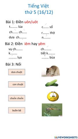 Tiếng Việt thứ 5 (16-12)