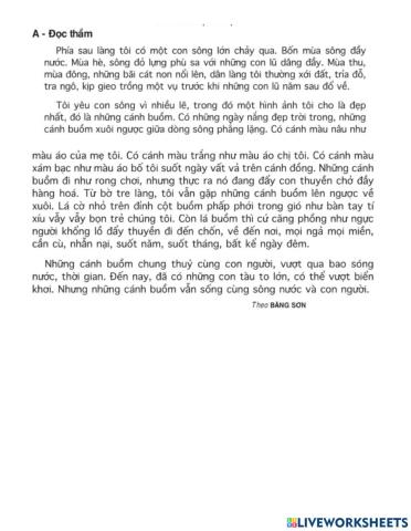 Vietnamese Comprehension 1