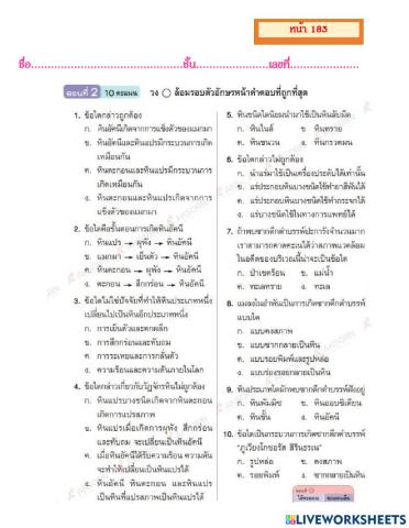 แบบฝึกหัดท้ายบท เรื่องหิน ป.6