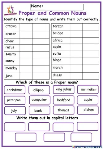 Proper and common nouns