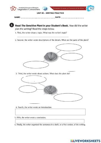 Plants Writing Section