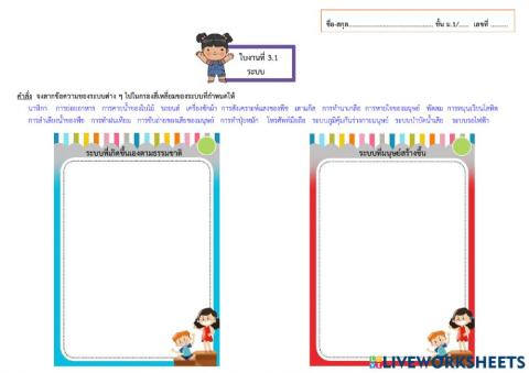 ใบงานที่ 3.1 ระบบ