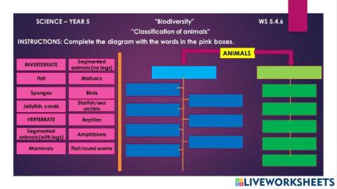 WS 5.4.6 Animals' classification