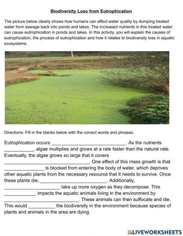 Eutrophication and Biodiversity