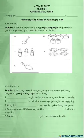 Natutukoy ang Kailanan ng Pangngalan