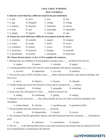 Unit 6. GLOBAL WARMING TEST YOURSELF