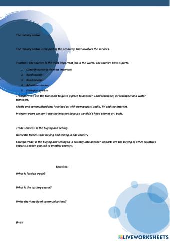 The tertiary sector