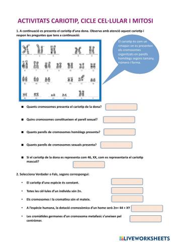 Activitats divisió cel·lular