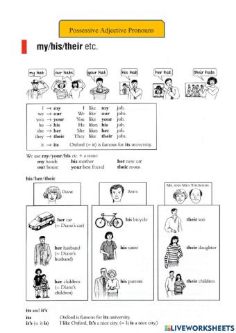 Possessive adjective