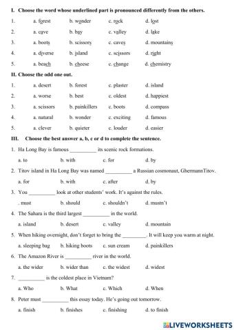 TA6-Test Unit 5 (MLH)