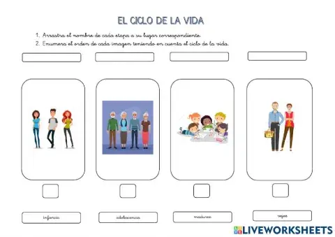 El ciclo de la vida