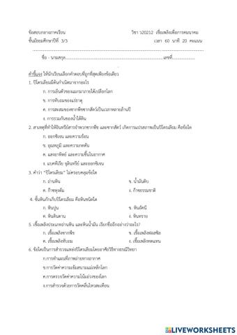 กลางภาคเชื้อเพลิง