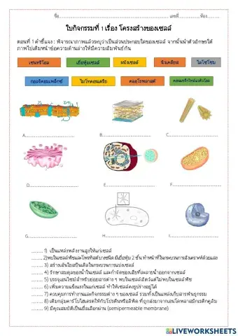 เซลล์และการลำเลียงสารเข้าออกเซลล์