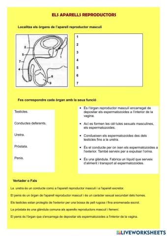 Els aparells reproductors