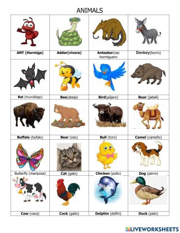 Vocabulary animals listening