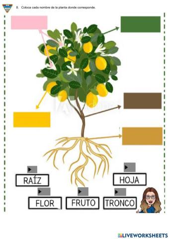 Iv examen de ciencia y tecnología