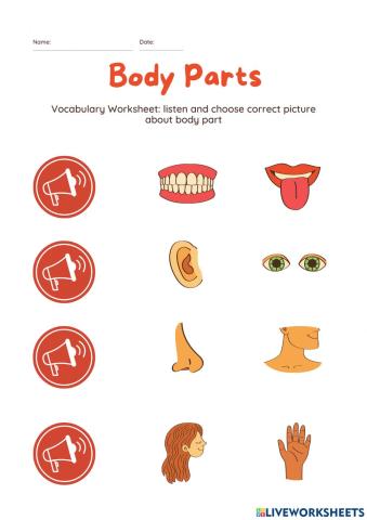 Body parts