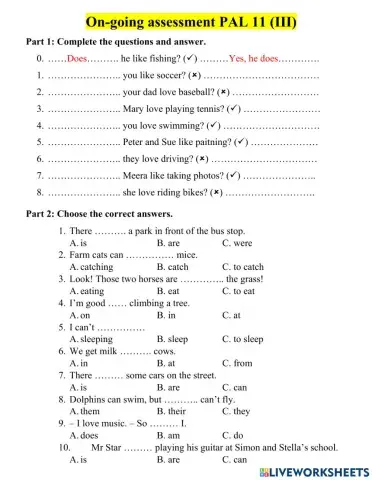 Pal 11: On-going assessment (3)