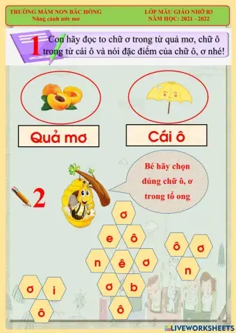 Phiếu bài tập chữ ô, ơ