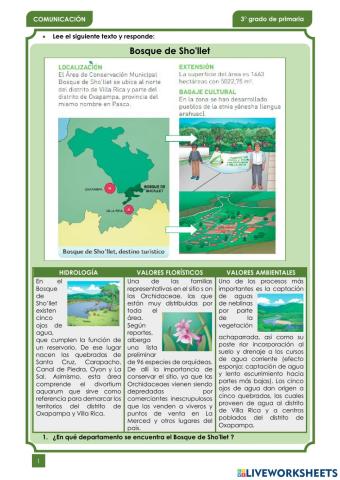 Comprensión Lectora 2