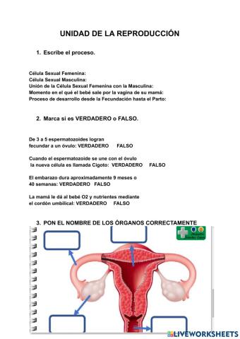 La Reproducción Control