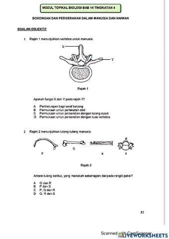 Modul Hebat Edisi 2021 Tingkatan 4 Bab 14